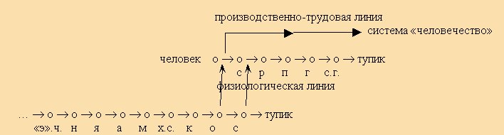 Sh-02.jpg